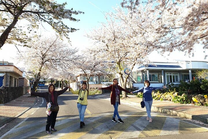 Jeju Private UNESCO Day Tour from Cruise Terminal: Seongsan, Lava Tubes & Coastal Sights photo 6