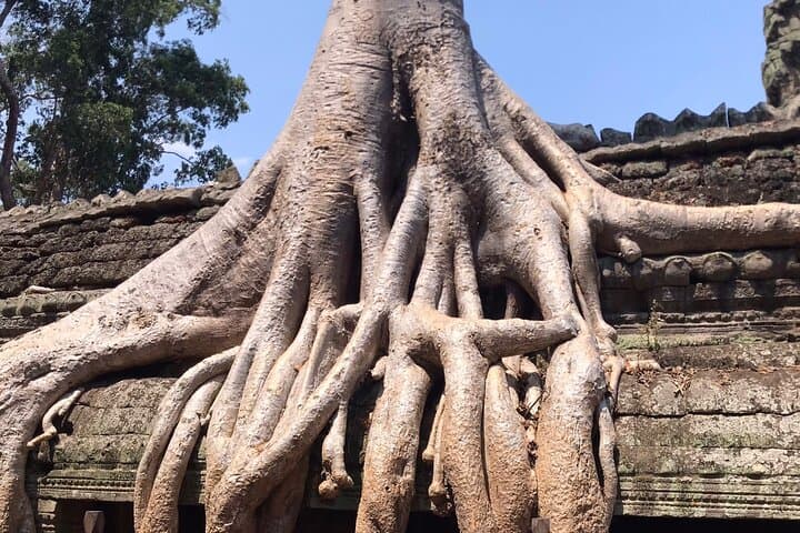 6-Day Cambodia: Angkor Sunrise, Tonle Sap Village & Phnom Penh History Tour photo 2