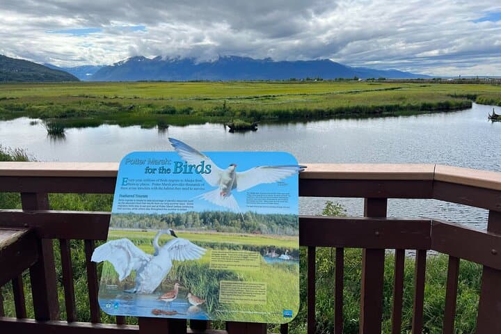 Exploring Alaska’s Wild Edge: Whittier to Anchorage Land Transfer Tour with AWCC photo 5