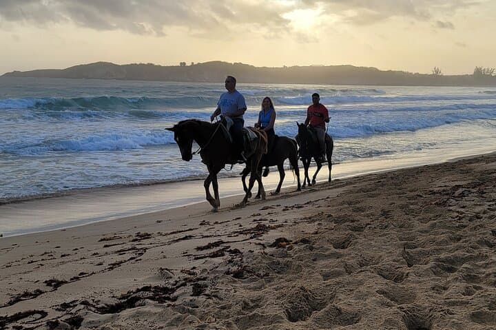 Sunrise Horseback Ride on Playa Macao — Punta Cana Beach Tour photo 3