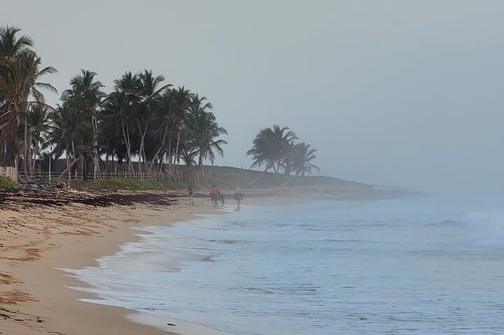 Sunrise Horseback Ride on Playa Macao — Punta Cana Beach Tour photo 6