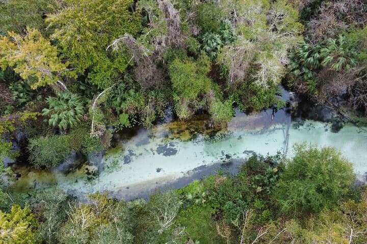 Emerald Cut Eco Paddleboard Excursion — Clear Springs Near Orlando photo 2