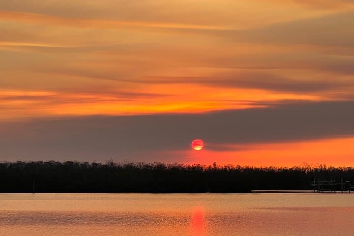 Private 2-Hour Estero Bay Dolphin & Shelling Tour (Fort Myers Beach) photo 6