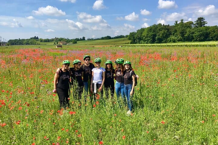 E‑Bike Tour and Wine Tasting in Lazise: Lake Garda Countryside Ride photo 5
