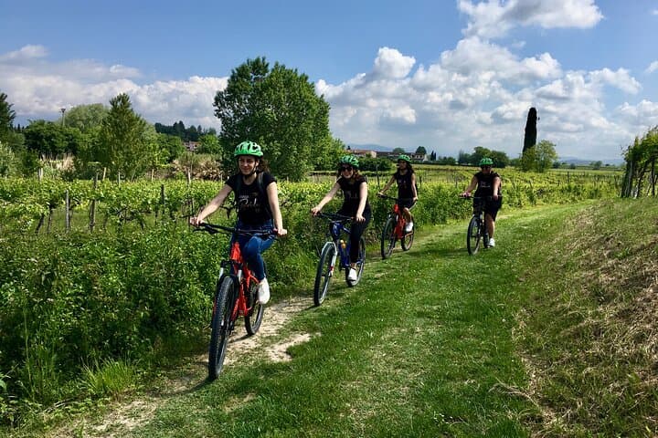 E‑Bike Tour and Wine Tasting in Lazise: Lake Garda Countryside Ride photo 2