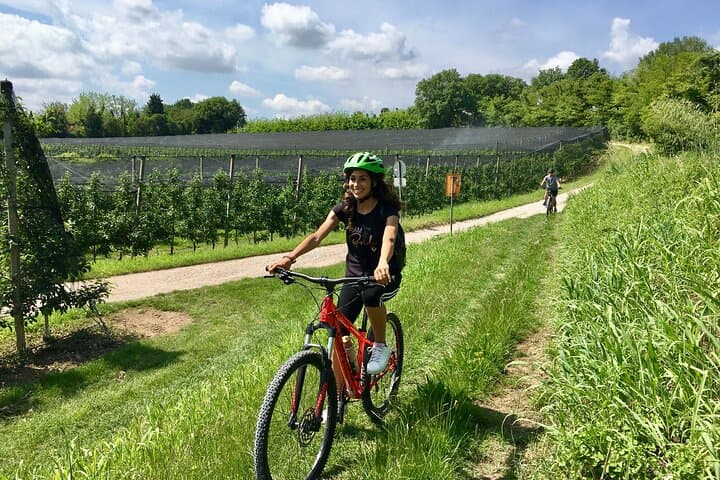 E‑Bike Tour and Wine Tasting in Lazise: Lake Garda Countryside Ride photo 6