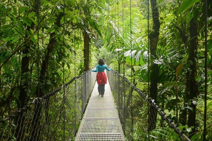 Arenal Hanging Bridges Guided Canopy Walk — Wildlife & Volcano Views photo 3