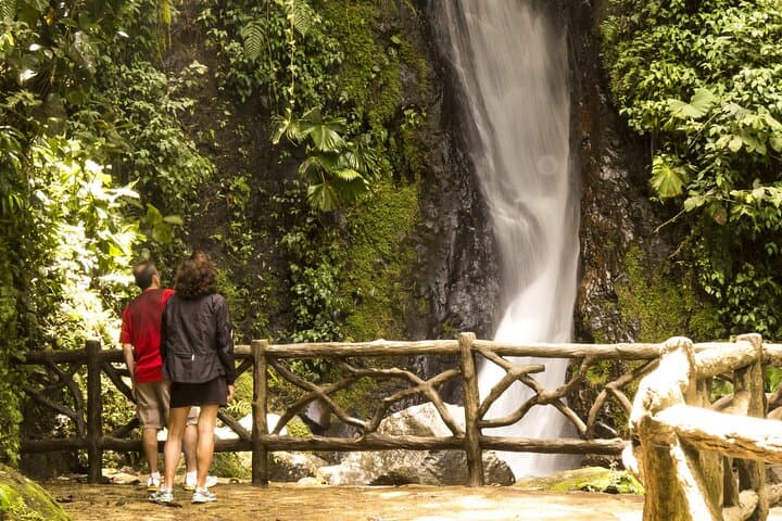 Arenal Hanging Bridges Guided Canopy Walk — Wildlife & Volcano Views photo 6