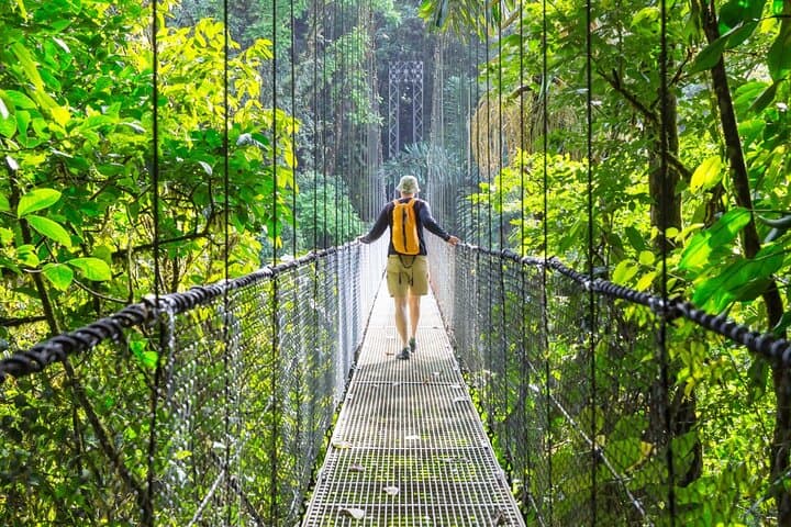 Arenal Hanging Bridges Guided Canopy Walk — Wildlife & Volcano Views photo 2
