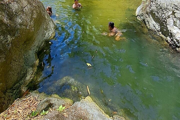 Coastal Drive and Waterfall Trek: 2-Hour Rainforest Hike in Tobago photo 3