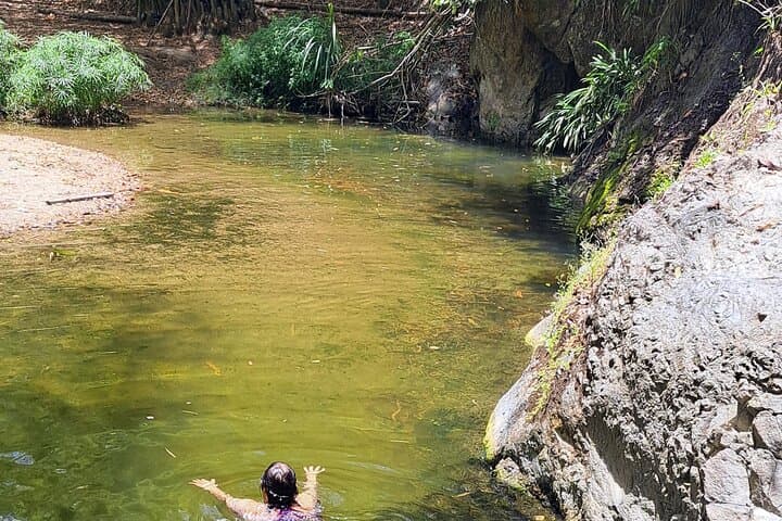Coastal Drive and Waterfall Trek: 2-Hour Rainforest Hike in Tobago photo 4