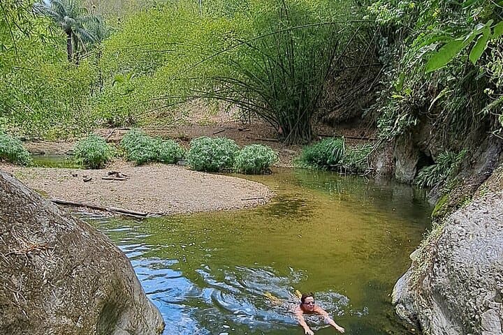 Coastal Drive and Waterfall Trek: 2-Hour Rainforest Hike in Tobago photo 5