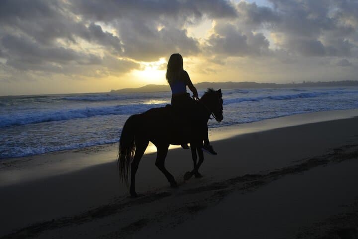 Sunrise Horseback Ride on Playa Macao — Punta Cana Beach Tour