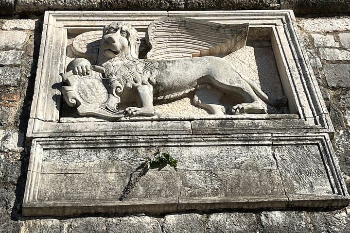 Kotor & Budva Old-Town Tour: Coastal Highlights for Cruisers photo 4