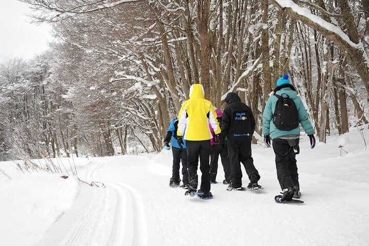 Crab Route in the Snow: 4x4 Winter Tour from Ushuaia to Puerto Almanza photo 3