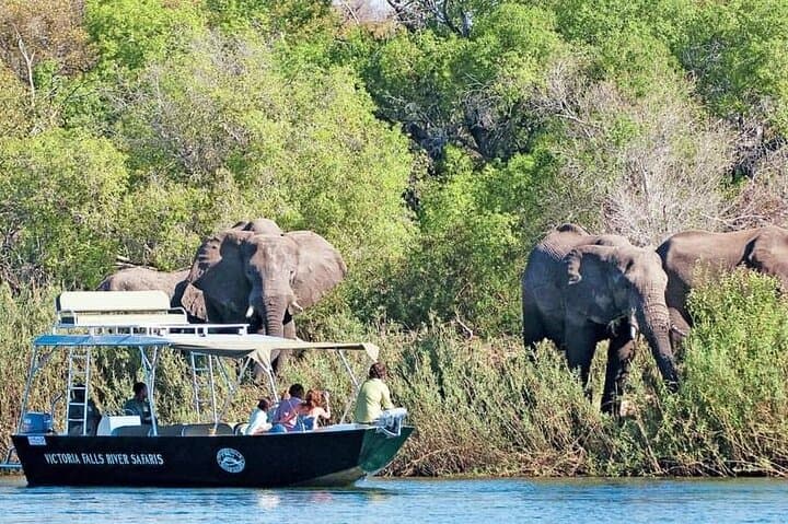 Zambezi River Safari: Close-Up Wildlife Cruises from Livingstone photo 4