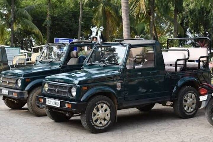 Skip-the-Line Jeep Safari at Devalia Safari Park, Sasan Gir photo 3
