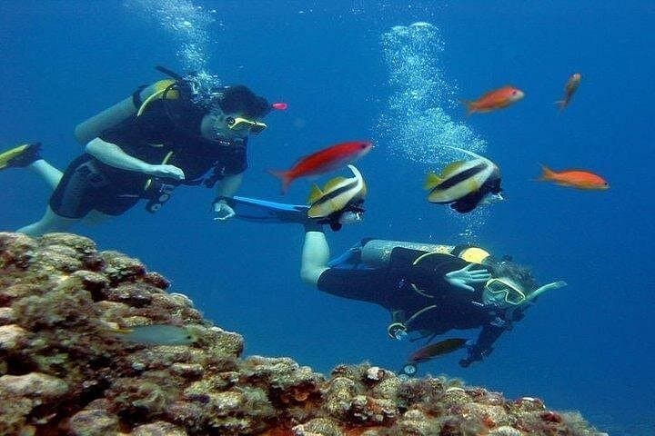 Hurghada Red Sea Scuba Diving & Snorkeling Day Cruise with Lunch photo 4