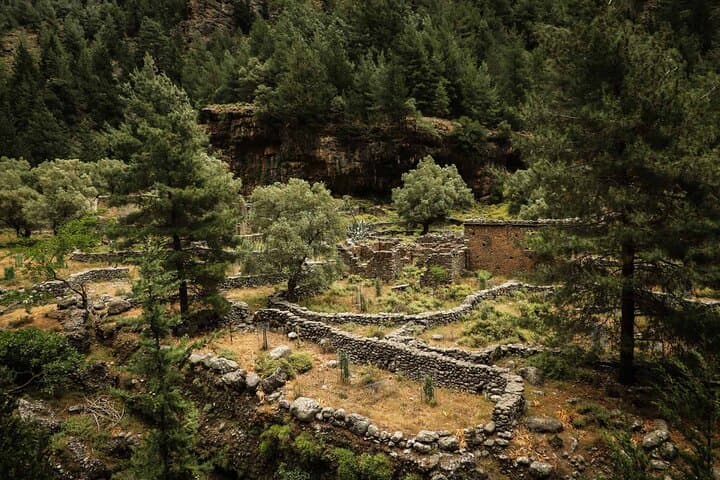 Full-Day Samaria Gorge Hike: Private Guided Trek from Omalos to Agia Roumeli photo 5