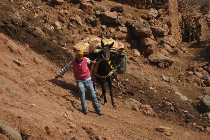 Two-Day Private Trek Through Berber Villages in the Atlas Mountains photo 4