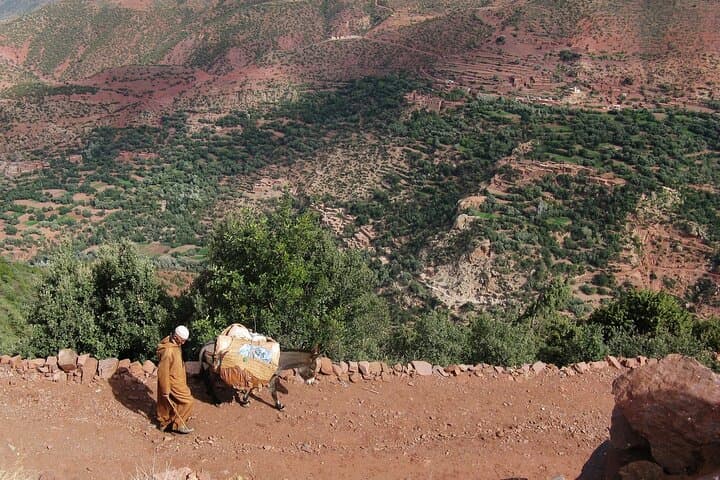 Two-Day Private Trek Through Berber Villages in the Atlas Mountains