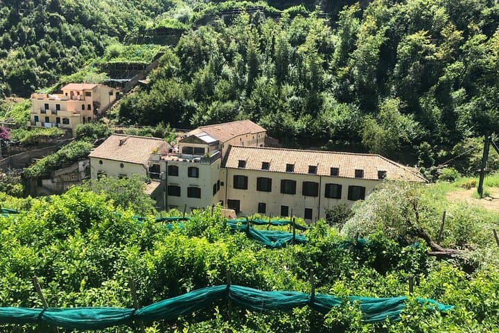Half-Day Hike in Valle delle Ferriere: Waterfalls, Paper Mills & Lemon Terraces photo 5