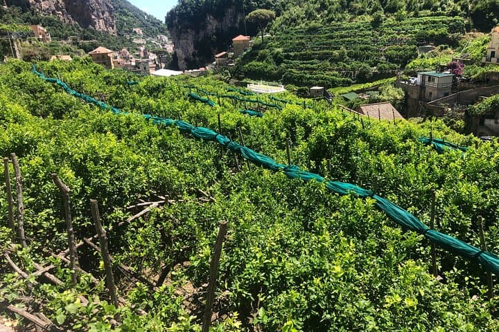 Half-Day Hike in Valle delle Ferriere: Waterfalls, Paper Mills & Lemon Terraces photo 6