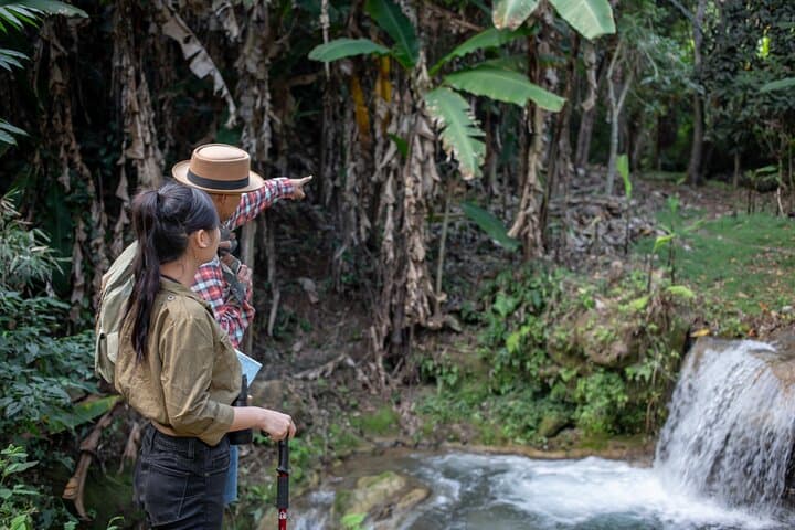 Full-Day Rescued Elephant Walk & Mahout Experience in Khao Lak Sanctuary