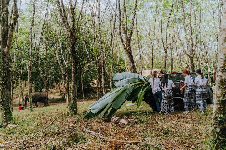 Khaolak Elephant Sanctuary Mahout Experience, Cooking Class & Waterfall Day Tour photo 4