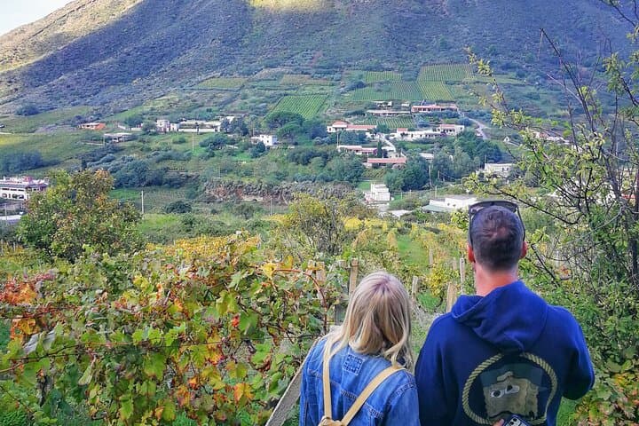 Salina Wine Trek: Vineyards, Sea Views & Malvasia Tasting on the Aeolian Island photo 2