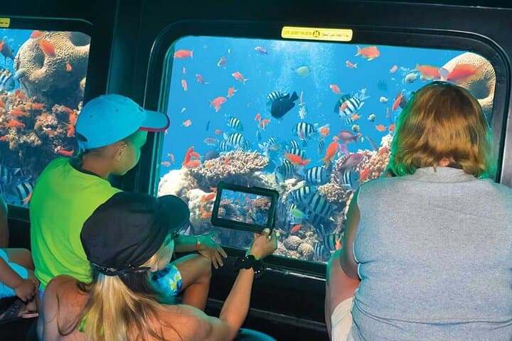 Private Red Sea Snorkeling Day Trip from Luxor to Safaga & Utopia Island photo 6