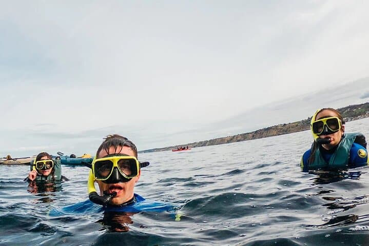 La Jolla Two-Hour Kayak & Snorkel Tour for Two — Kayak the Ecological Reserve photo 3