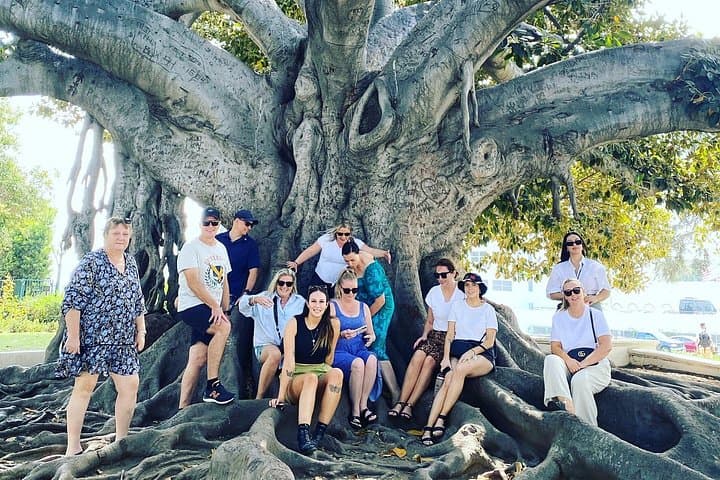 Private Full-Day Los Angeles Sightseeing Tour — Venice, Santa Monica & Hollywood photo 2