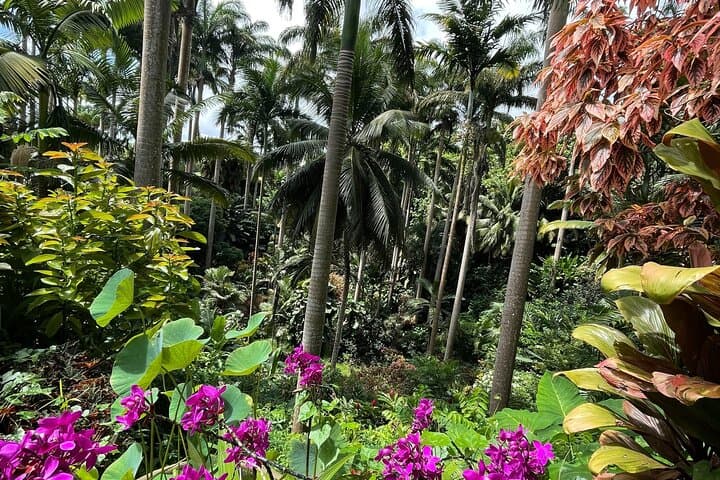 Barbados Flora, Fauna & Farm-to-Table Family Day: Welchman Hall, Hunte’s Garden & Peg Farm photo 6