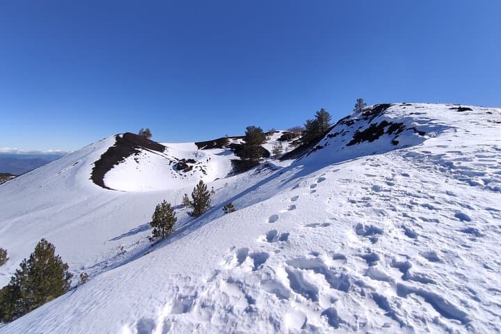Etna and Alcantara Gorges Excursion: Lava Trails and River Canyons from Catania photo 6