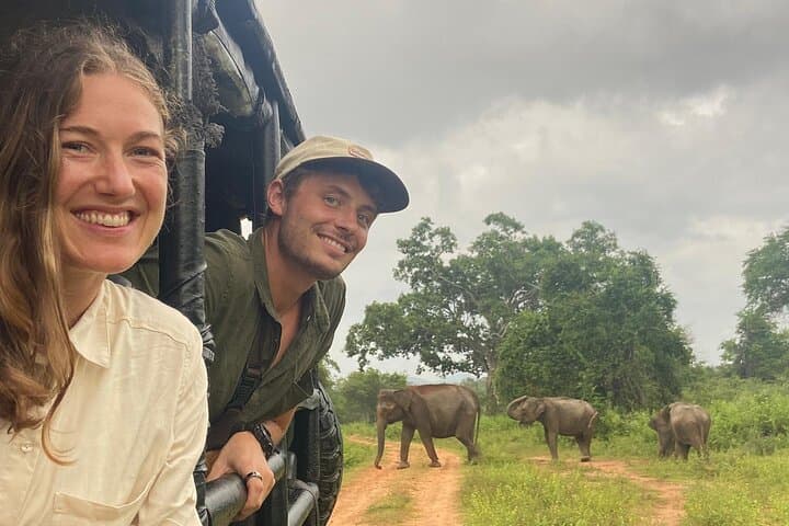 Udawalawe Private Safari — 3-Hour Elephant Encounters & Birding photo 6