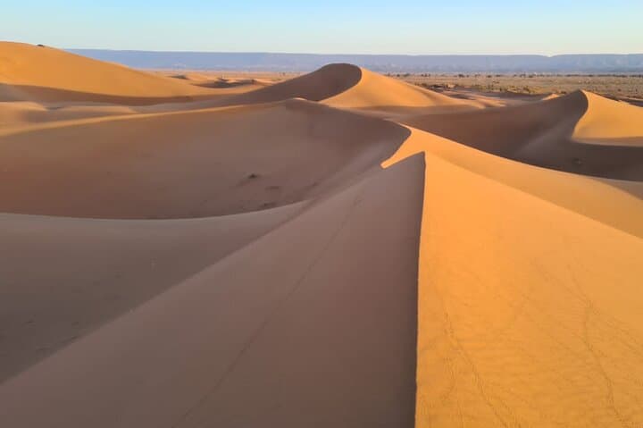 Camel Trekking at M'Hamid — Gateway to the Moroccan Sahara photo 3