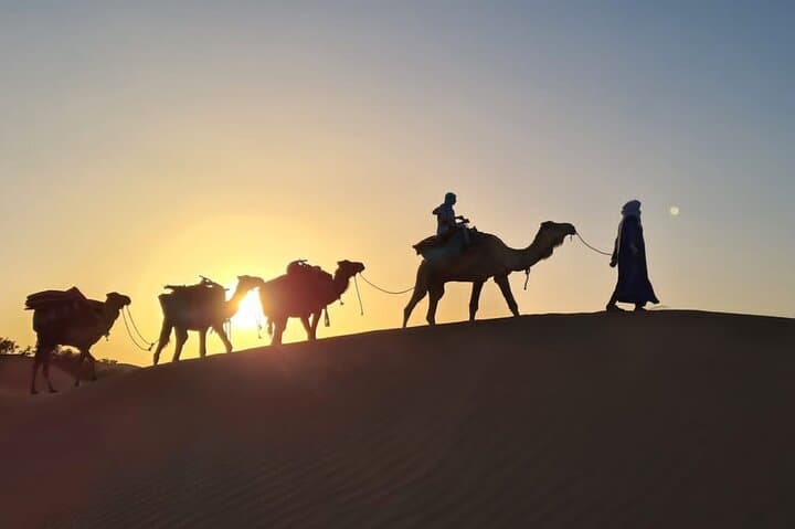 Camel Trekking at M'Hamid — Gateway to the Moroccan Sahara photo 6