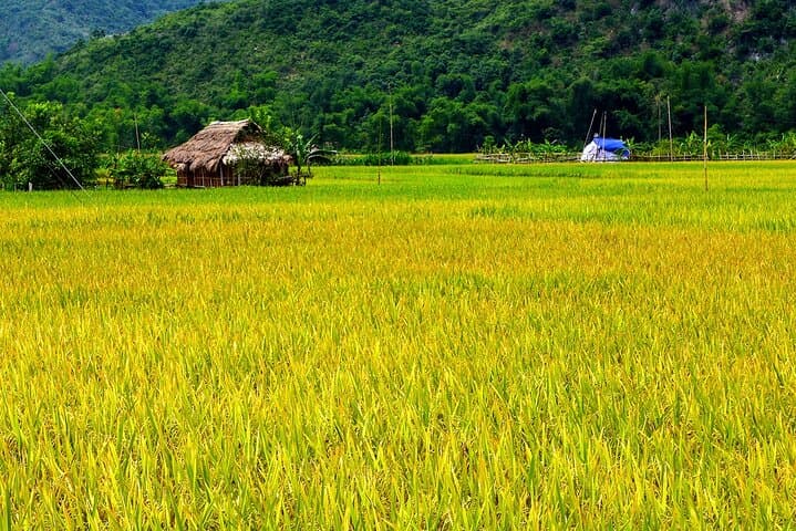 3-Day Private Mai Chau and Ninh Binh Adventure from Hanoi photo 6