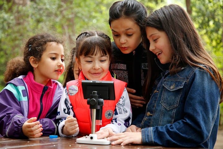 Forest School Weekly Sessions for Kids in Baku — Outdoor Learning & Play