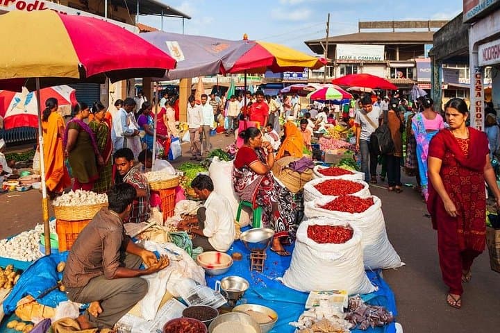 Private Delhi Old & New Sightseeing Tour — Rickshaw Ride, Jama Masjid & India Gate photo 2