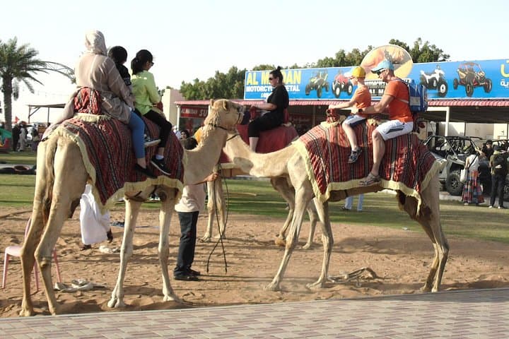 Private Dubai Desert Safari: 4x4 Dune Drive, Camel Ride & Bedouin Camp Experience photo 6