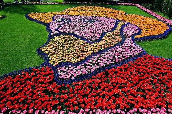 Private Keukenhof Flower Tour with Luxury Transfer & Tulip Field Visit photo 4