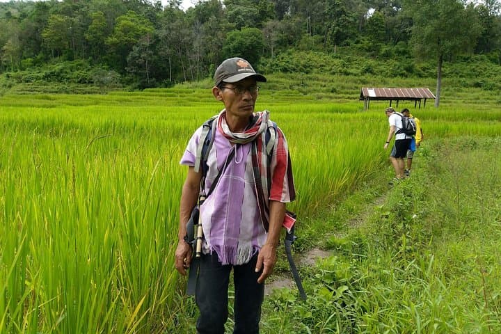 One-Day Karen Village Hike near Chiang Mai — Waterfalls, Rice Fields & Jungle photo 2