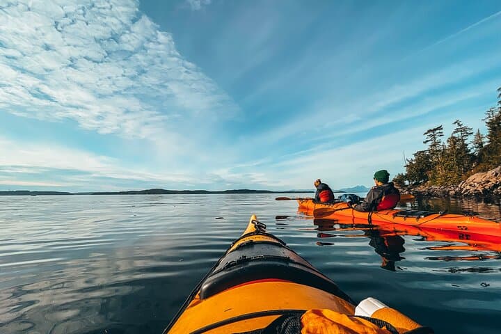 Evening Kayak in Johnstone Strait: 2-Hour Telegraph Cove Wildlife Paddle photo 2