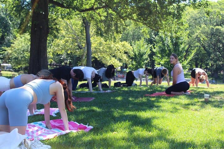Morning Yoga at Sheep Meadow — Central Park Class with a View photo 2