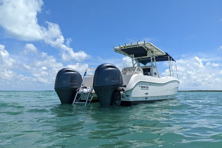 Full-Day Private Fishing Charter in Key Largo — Snorkel, Fish & Relax photo 3