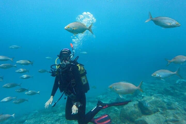 Half-Day Snorkeling & Dolphin Encounter in Hurghada's Red Sea photo 3