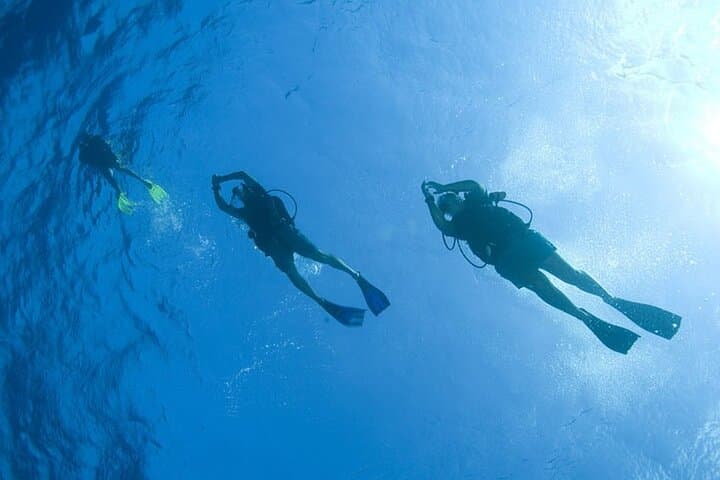 Half-Day Snorkeling & Dolphin Encounter in Hurghada's Red Sea photo 5