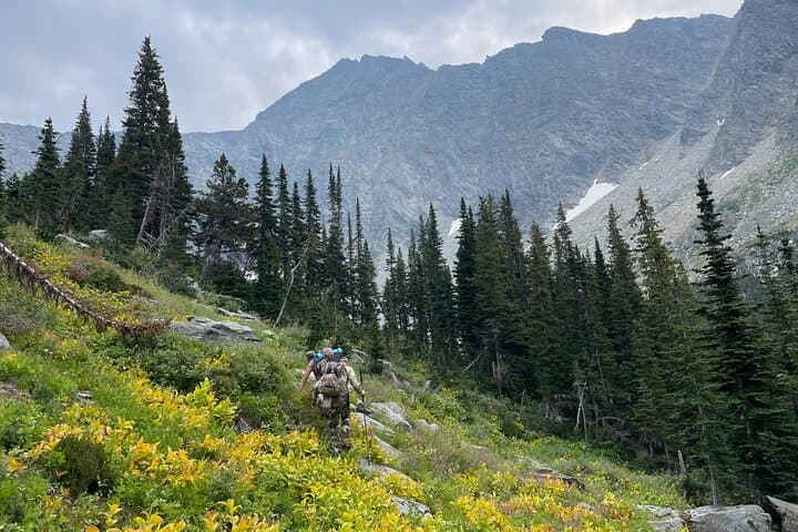 Cameron Ridge Bungalows: Hike Nora's Knob & Alpine Meadows by Quesnel Lake photo 5